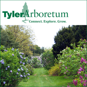 STEVE TOBIN: IN THE LIGHT - Opening Weekend