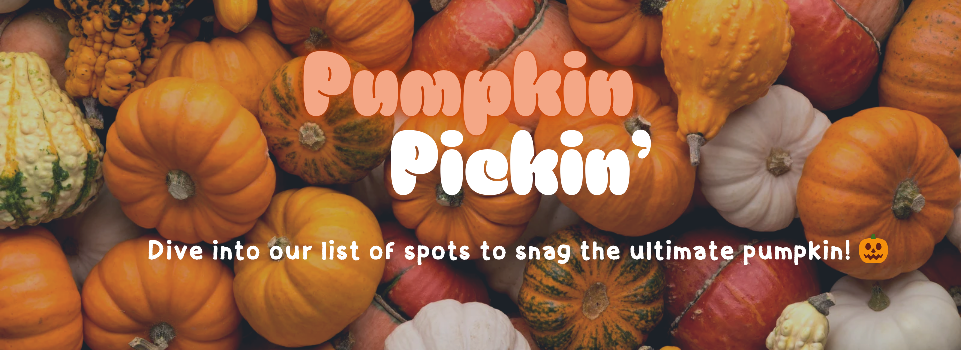 Pumpkin Patches