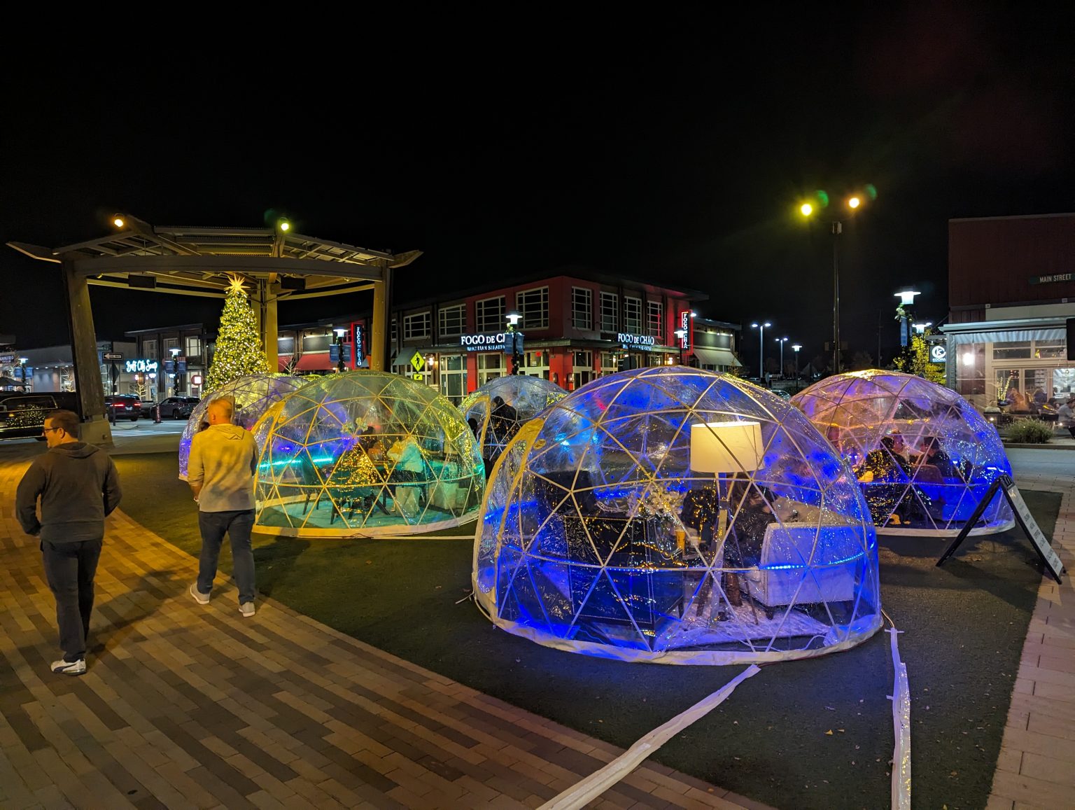 Gallery 1 - Igloo Garden at night