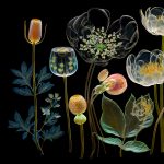 Gallery 1 - Magnolia, 2024 by Janie Fitzgerald. 24