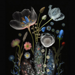Gallery 5 - Glow, 2024 by Janie Fitzgerald. 20