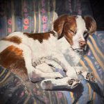 Gallery 1 - Chester County Studio Tour
