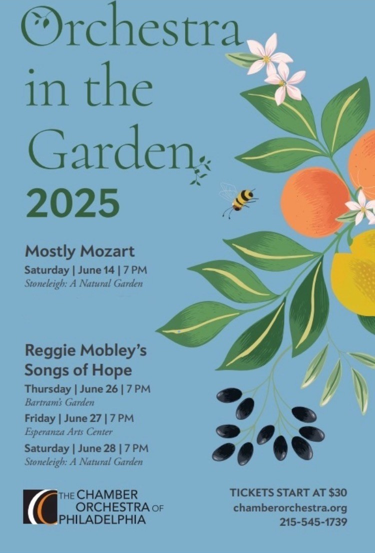 Gallery 3 - Mostly Mozart