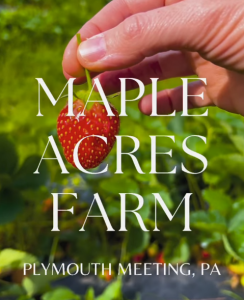 Maple Acres Farm and Market