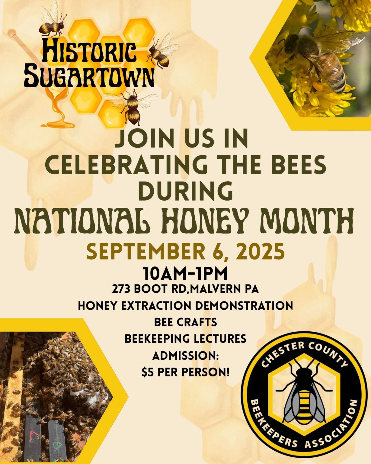 Gallery 1 - Historic Sugartown Bee Day