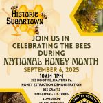 Gallery 1 - Historic Sugartown Bee Day