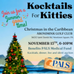 Kocktails for Kitties